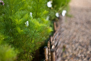 Nice wooden fence from twigs in the Green Garden in summer