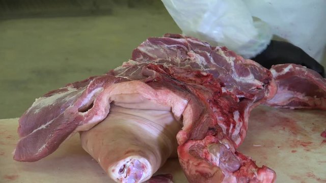 Meat Processing or Cut of Pork. Pork is the culinary name for meat from a domestic pig