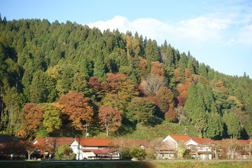 Fototapeta na wymiar 日本の秋の紅葉