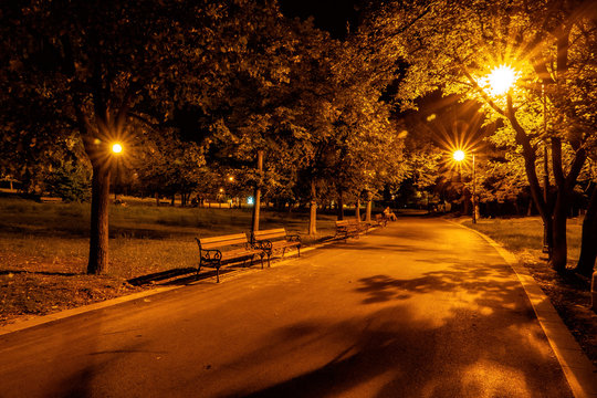 Empty alley in the night park lit by street lamps.