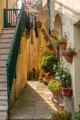 Colorful narrow streets in the medieval town of Guardistallo in Tuscany - 3