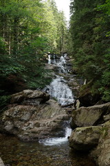 Obraz premium Rieslochfälle am großen Arber