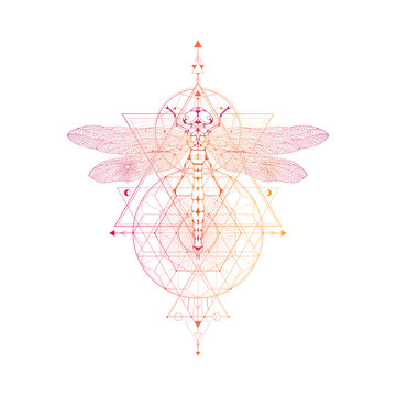Vector illustration with hand drawn dragonfly and Sacred geometric symbol on white background. Abstract mystic sign.