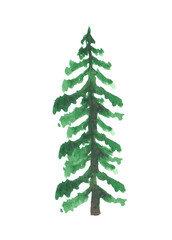 Hand painted watercolor graphic design element. Fir tree.