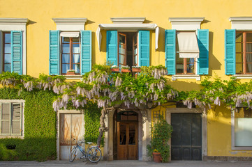 Fototapeta na wymiar colorful house facade with wisteria flowering plants