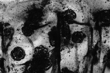 Abstract ink background. Marble style. Black paint stroke texture on white paper. Wallpaper for web and game design. Grunge mud art. Macro image of pen juice. Dark Smear.