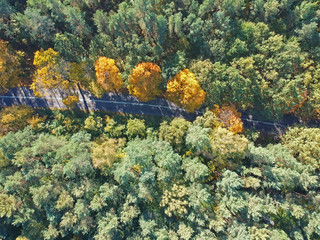 Naklejka na ściany i meble Aerial view on straight hidden asphalt road in mixed forest during autumn
