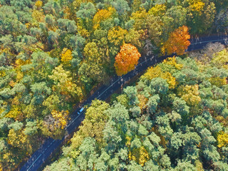 Naklejka na ściany i meble Aerial view on curved hidden asphalt road in mixed forest during autumn