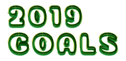 2019 Goals - written on white background