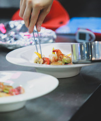 Chef preparing food, meal, in the kitchen, chef cooking, Chef decorating dish, closeup, .chef at work.