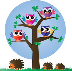colorful owls sitting in tree header or banner