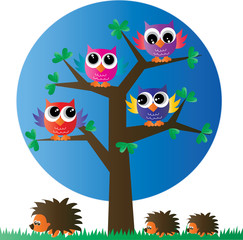 Obraz premium colorful owls sitting in tree header or banner