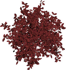 Naklejka premium Plant & Tree overhead icon / top view symbols isolated on white background. Perfect for use with colour floor plans as symbols and icons, landscaping design or any other artist design use