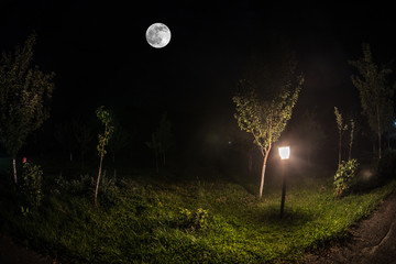 Mountain Road through the forest on a full moon night. Scenic night landscape of dark blue sky with moon. Azerbaijan