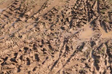 Puddle and mud with tire track texture