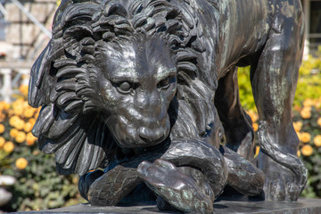 Black Lion scuplture  in English Garden