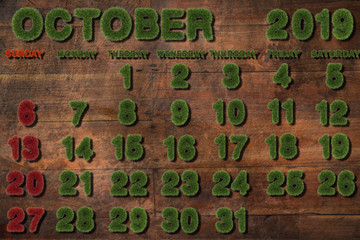 Calendar for October 2019 on white background,3d rendering green grass