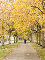 Homme faisant du jogging en automne