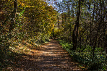 droga  © wedrownik52