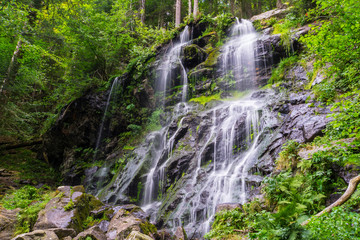 Fototapeta na wymiar Germany, High black forest waterfall of Zweribach in Simonswald in mystic mood