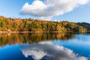 Autumn landscape with colorful trees and blue sky with white fluffy clouds reflected in the water....