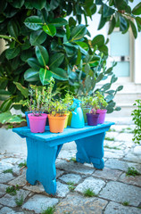 Old blue wooden bench with flower pots