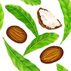 Shea nuts with leaves in vector pattern. Vector seamless pattern of shea nuts with shea butter and green leaves isolated on a white.