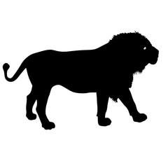 Silhouette of the Lion on a white background