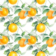 Orange seamless pattern. Orange fruit hand draw watercolor illustration.