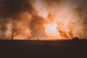 Fototapeta premium grass burns in a meadow