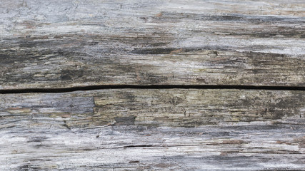 Texture of wooden surface - can be used as background