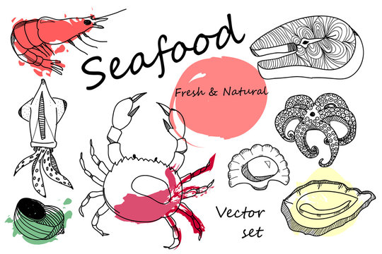 Hand drawn fresh sea food vector collection