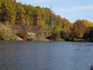 autumn landscape with lake and trees