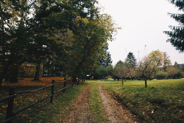 Naklejka premium Autumn Landscape in Catalonia