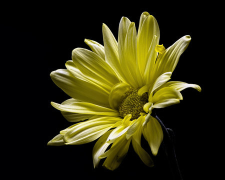 Alone 0927