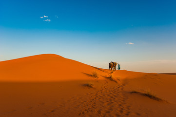 Camel caravan in Erg Chebbi Desert, Sahara Desert near Merzouga, Morocco