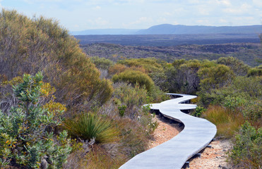 Boardwalk walking track through woodland at Wattamolla, Royal National Park, NSW, Australia with mountains of the Great Dividing Range in the distance