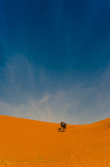 Camel caravan in Erg Chebbi Desert, Sahara Desert near Merzouga, Morocco