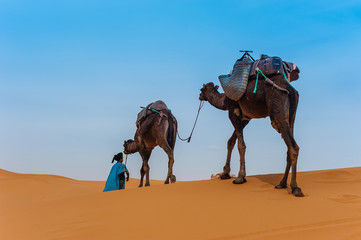 Camel caravan in Erg Chebbi Desert, Sahara Desert near Merzouga, Morocco