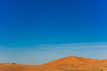 Fototapeta na wymiar Camel caravan in Erg Chebbi Desert, Sahara Desert near Merzouga, Morocco