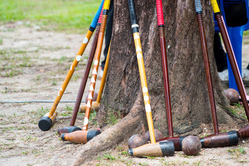 woodball stick put against tree in competition match