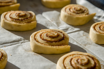 Cinnamon rolls ready for the oven 