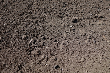 畑の黒ボク土クローズアップ