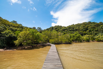 The wooden walkway through the middle of the river has a mountain front.