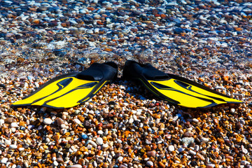 flippers for outdoor activities on the beach © fotodiya83