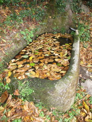 Chateau de la Faye _ Augerolles
