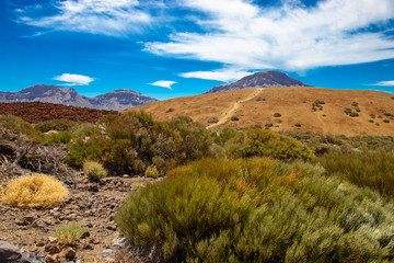 National park del Teide, view of magical park