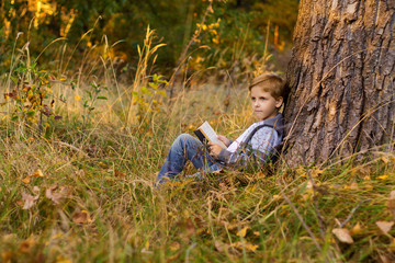a boy reading a book at sunset under a big tree