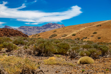 Fototapeta na wymiar National park del Teide, view of magical park