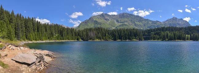 Tuinposter Grande panoramica del lago in alta montagna in luglio, con abeti verdi in fondo e cielo blu © fotonaturali